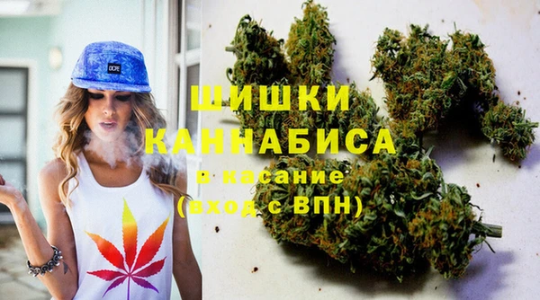 стафф Горнозаводск