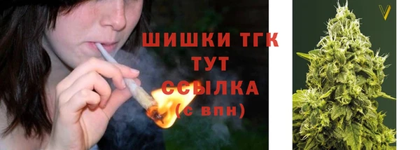 эйфоретик Горняк