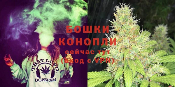 эйфоретик Горняк