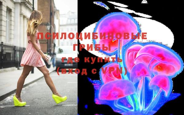 стафф Горнозаводск