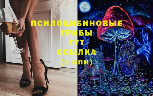 эйфоретик Горняк