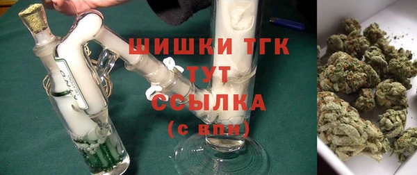 стафф Горнозаводск