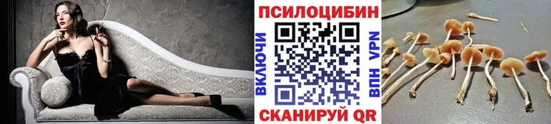 Псилоцибиновые грибы MAGIC MUSHROOMS  Серпухов 
